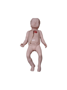 ADVANCED NEONATAL PERIPHERAL AND CENTRAL VEIN 